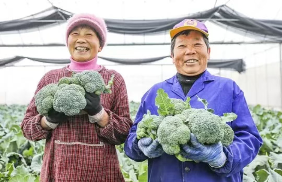 511eee146756fa36acc4390be7301ef.jpg 511eee146756fa36acc4390be7301ef.jpg