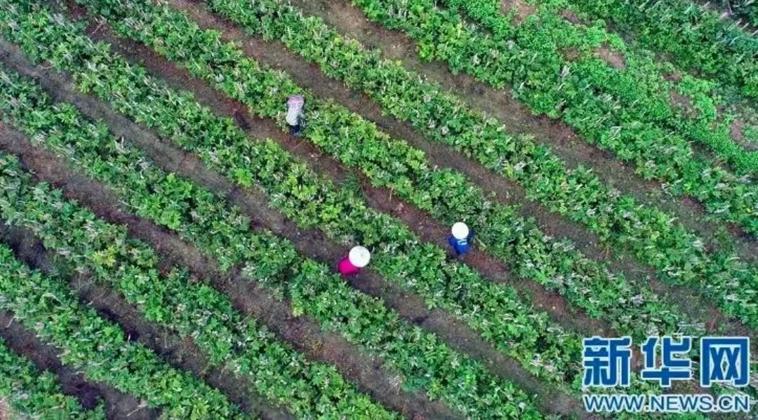 ddc6fed1aca7a96bb251c45d31b1627.jpg ddc6fed1aca7a96bb251c45d31b1627.jpg